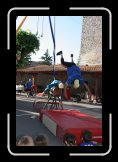 london circus 014 * 2336 x 3504 * (3.73MB)